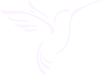Hummingbird Pottery